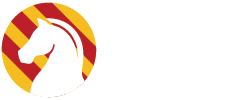 Warzone Studio