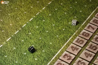 Конструктор Двусторонних Покрытий Blood Bowl