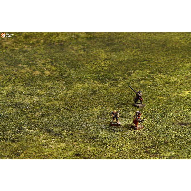 Battle mat: Meadows