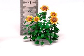 Sunflower, small