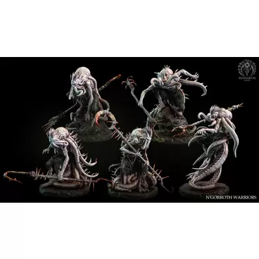 N'Goroth Warriors