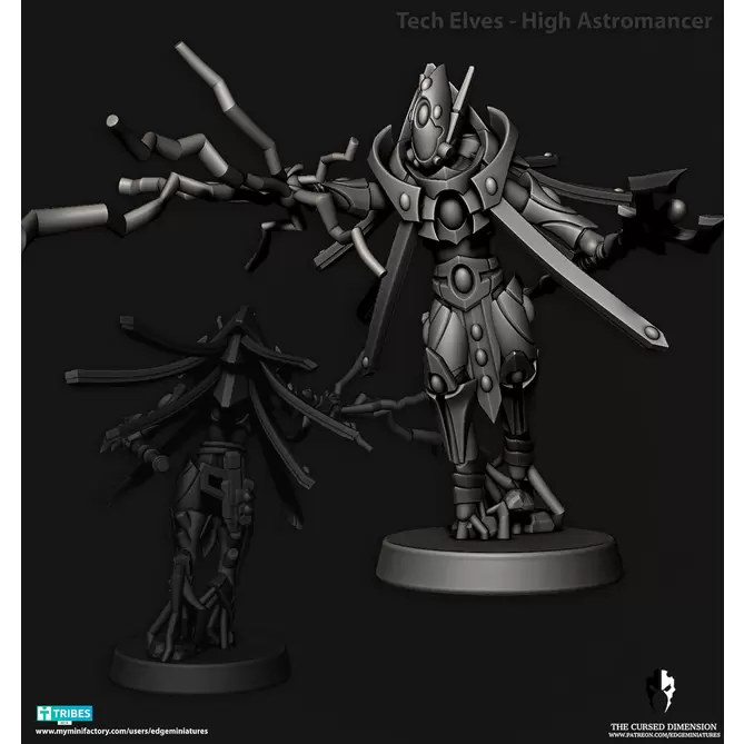 Miniature: Space Elves High Astromancer