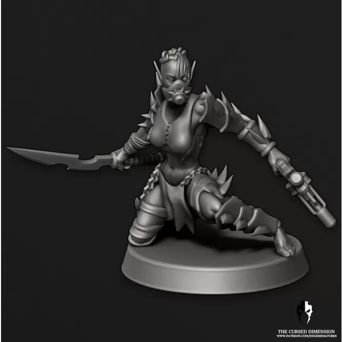 Миниатюра: Cursed Elves Arena Warriors