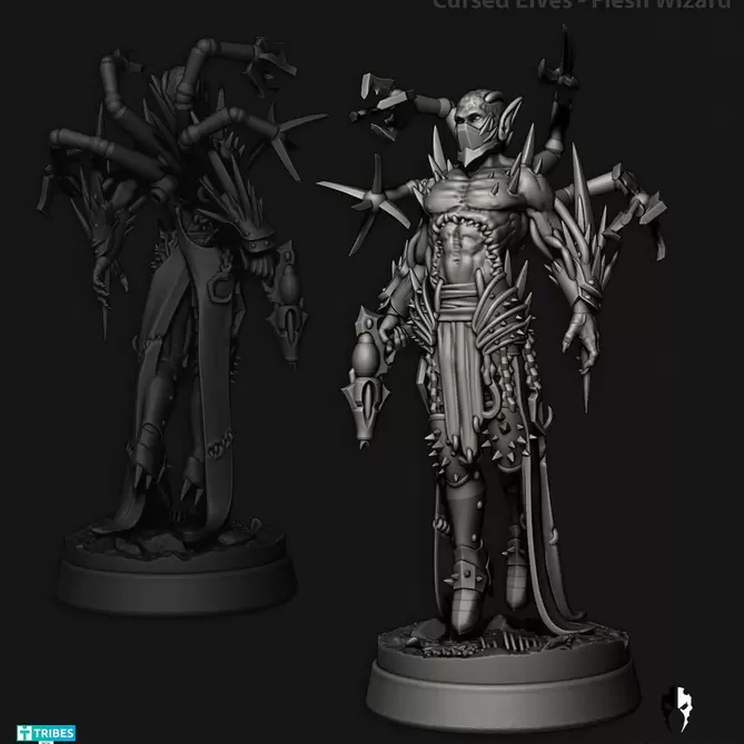 Miniature: Cursed Elves Flesh Wizard