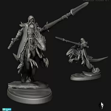 Desert Elves Raptor Riders