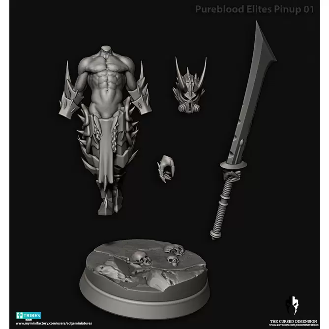 Miniature: Pureblood Warriors Pinup