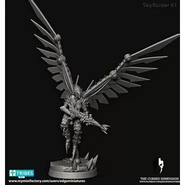Sky Raiders