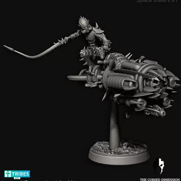 Space Biker 1