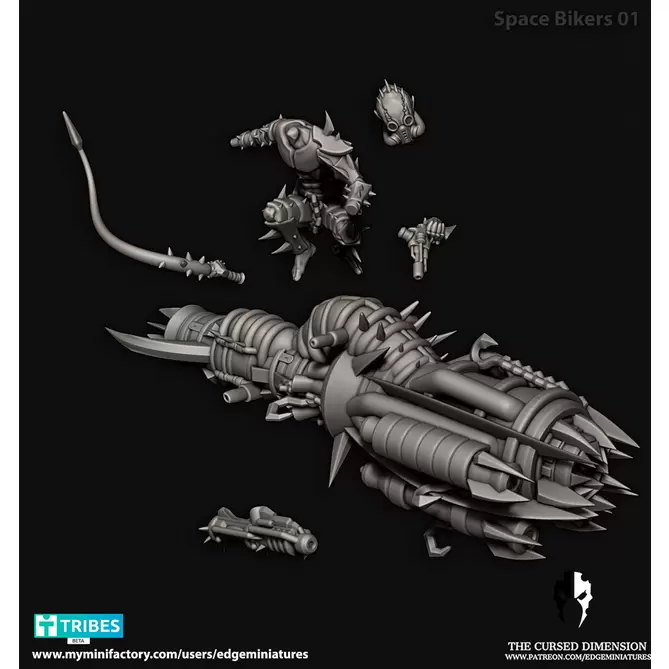 Миниатюра: Space Biker 1