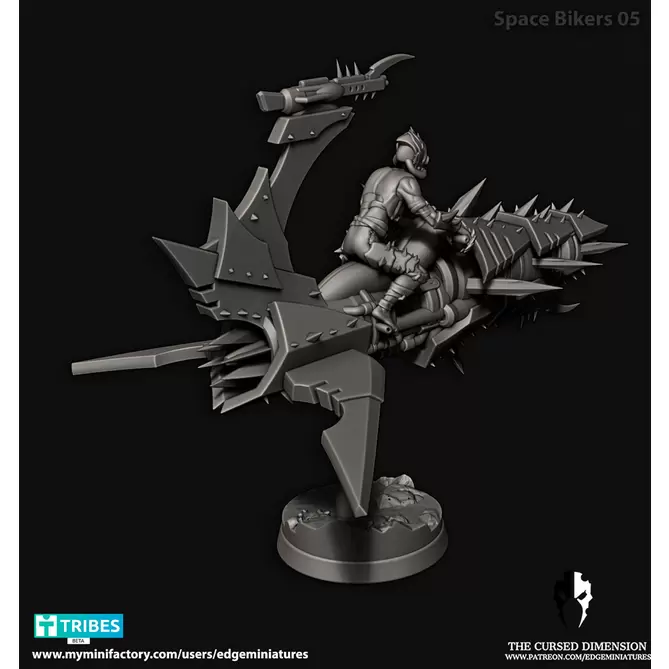 Миниатюра: Space Biker 5