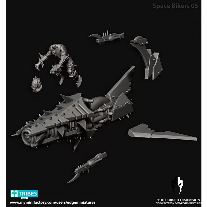 Миниатюра: Space Biker 5