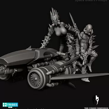 Space Bikers Pinup