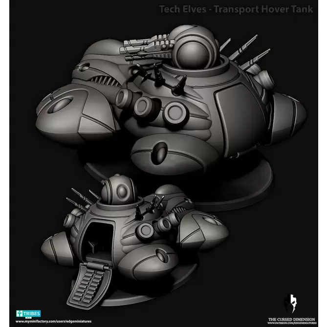 Miniature: Cursed Elves Slave Barge