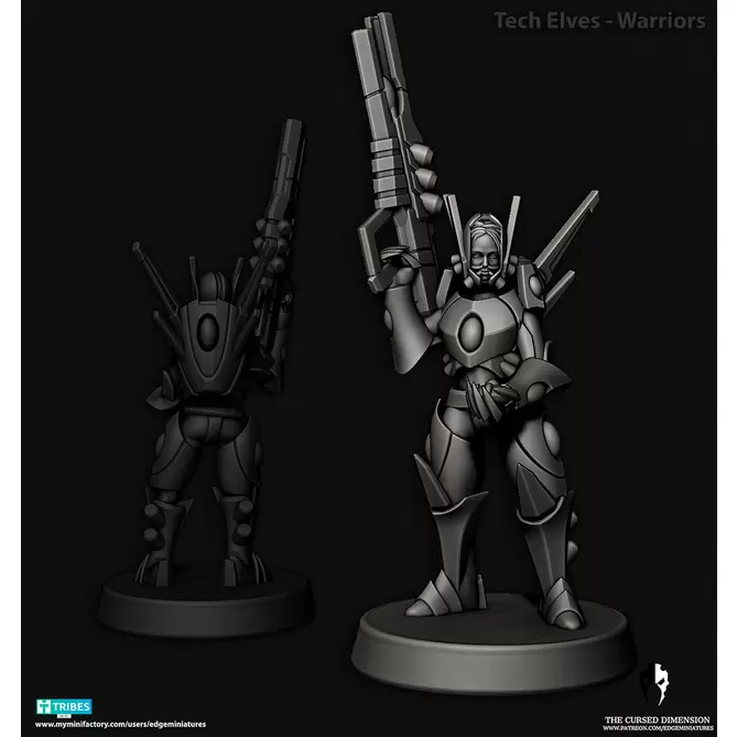 Miniature: Cursed Elves Slave Barge