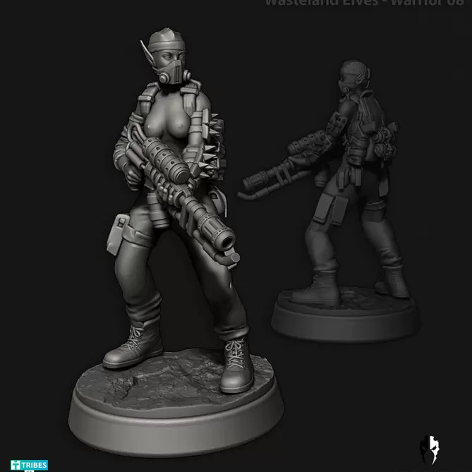Miniature: Wasteland Warriors Pinup