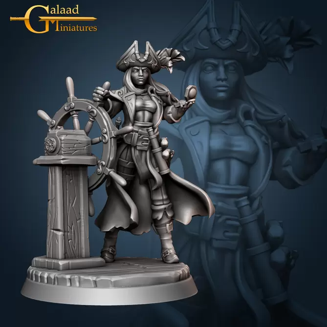 Miniature: Captain Driving