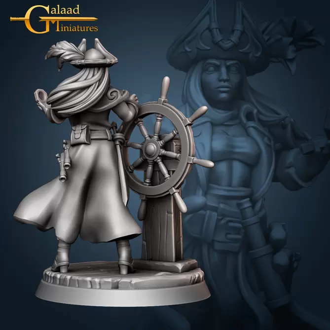 Miniature: Captain Driving