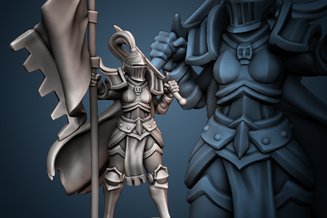 Miniature: Female Knights