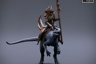Miniature: Amazon Raptor Riders (Spear)