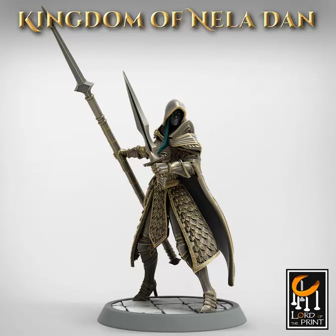 Miniature: Elven Warriors (Spears and Daggers)