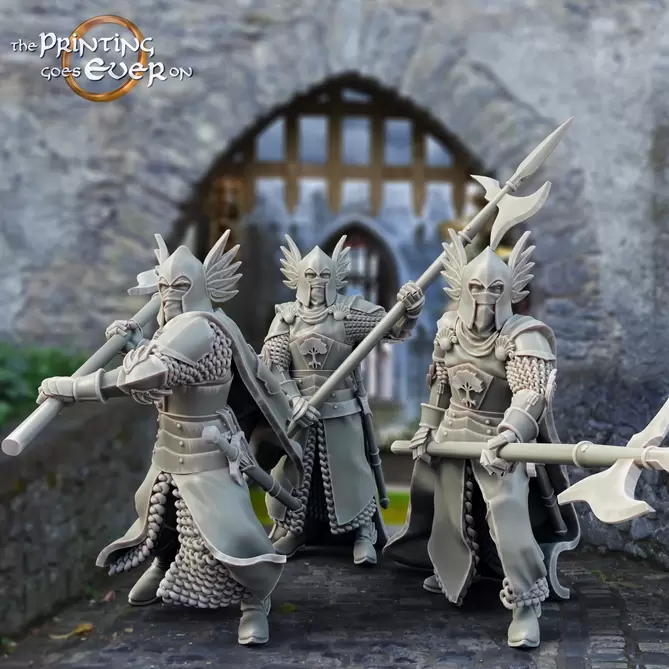 Миниатюра: Gonthan King's Guard