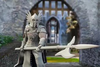 Миниатюра: Gonthan King's Guard