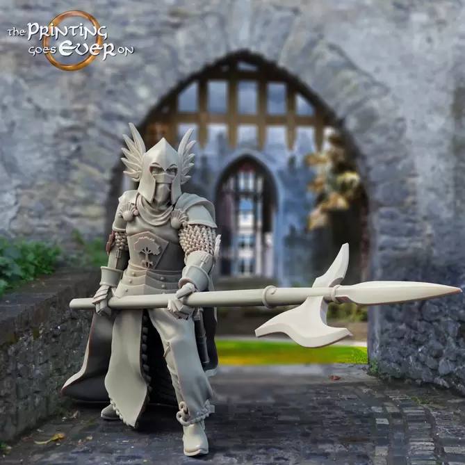 Миниатюра: Gonthan King's Guard