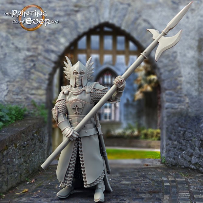 Miniature: Gonthan King's Guard