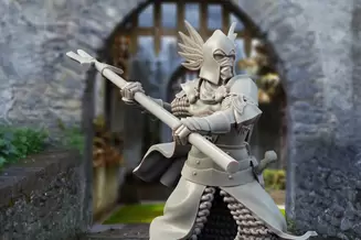 Миниатюра: Gonthan King's Guard