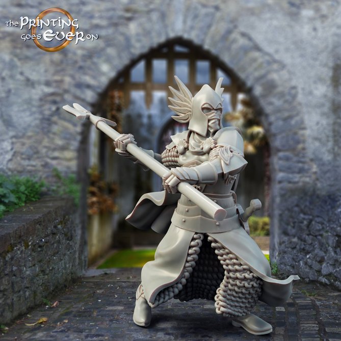 Miniature: Gonthan King's Guard