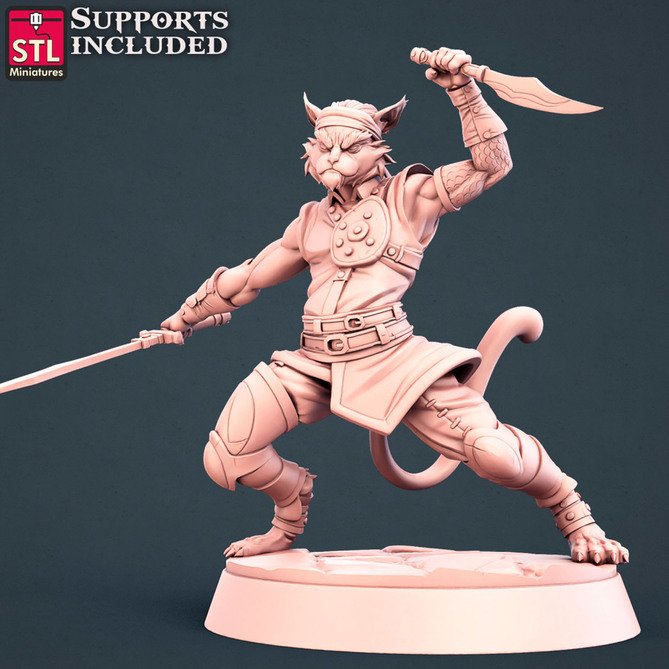 Miniature: Tabaxi Hero Warrior
