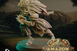 Miniature: Amazon Team