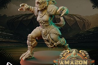 Miniature: Amazon Team