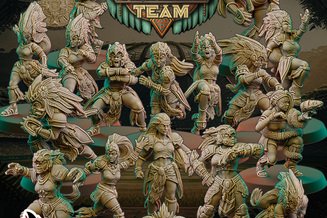 Miniature: Amazon Team