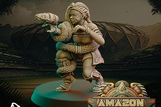 Miniature: Amazon Team