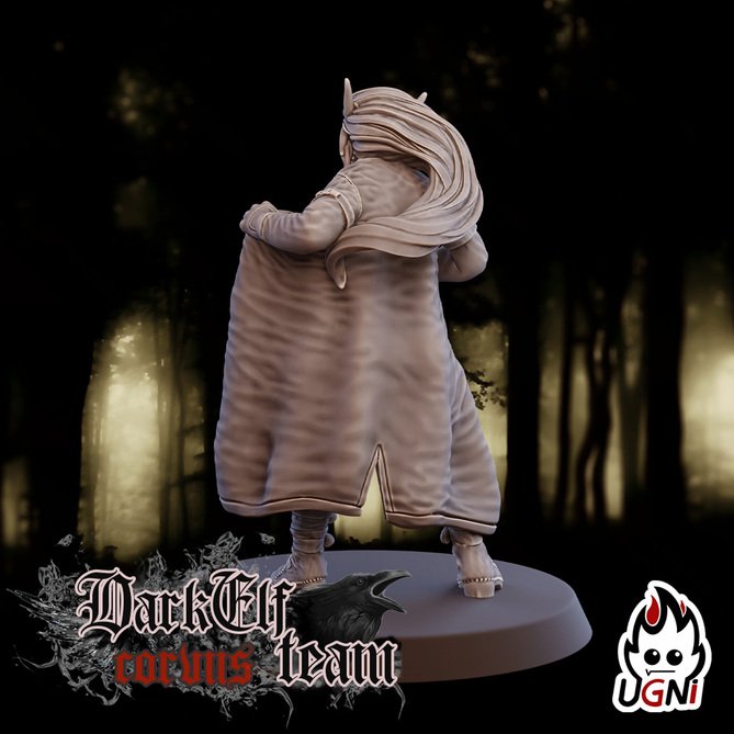 Миниатюра: Dark Elves Apothecary