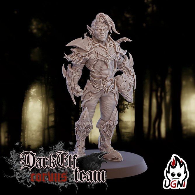 Миниатюра: Dark Elves Blitzers Alt