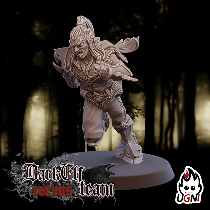 Miniature: Dark Elves Team