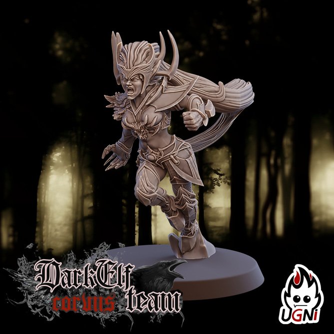 Miniature: Dark Elves Team