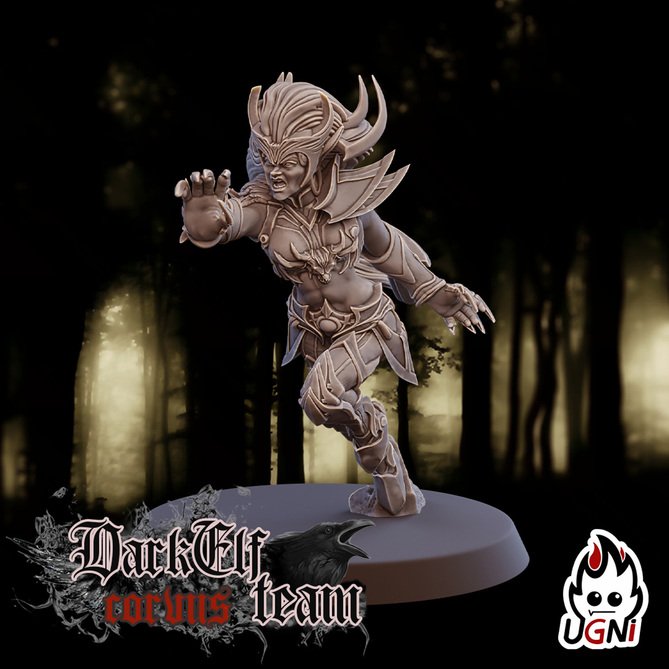 Miniature: Dark Elves Team