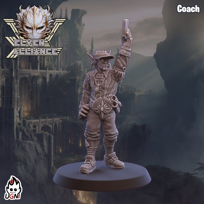 Miniature: Elven Alliance Coach