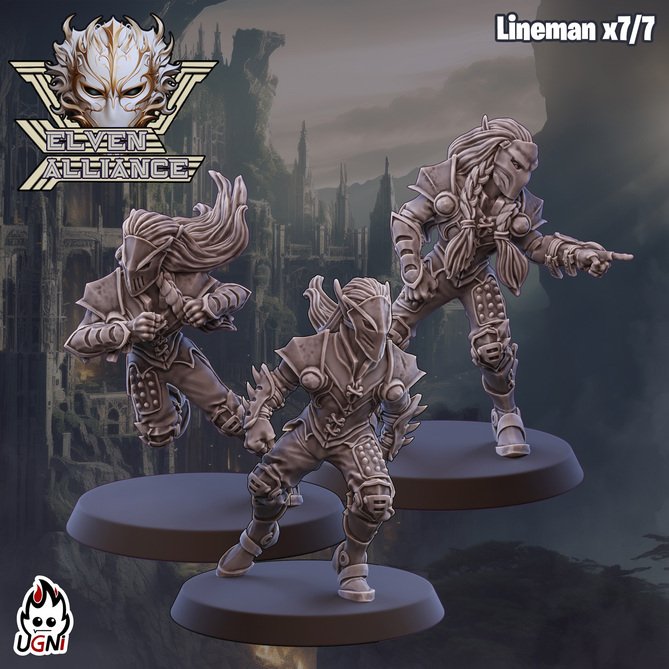 Миниатюра: Elven Alliance Team
