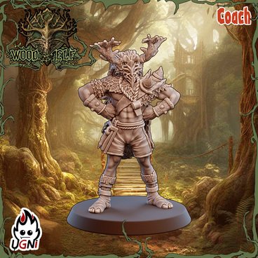Wood Elves Coach