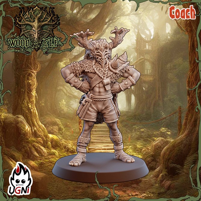 Миниатюра: Wood Elves Coach