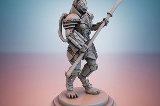 Miniature: Brakkan: War Maidens