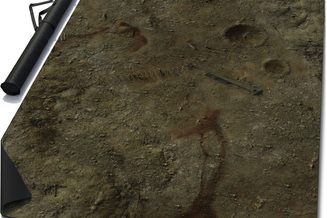 Battle Mat: Antioch Fields